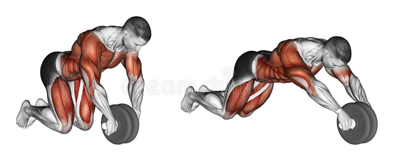 Rueda Abdominal -205