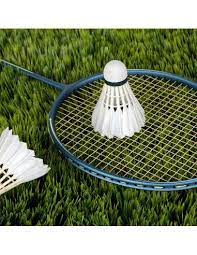 Set 3 Plumillas de Badminton de Pluma natural