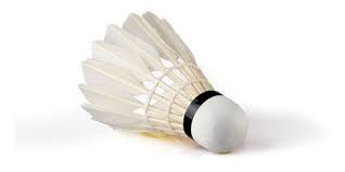 Set 3 Plumillas de Badminton de Pluma natural