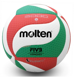 Balon Voleibol Molten N5 V5M 5000