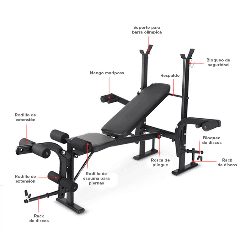 Banca multi + Pedricador Bicep + Cruadricep + Isquios 001B