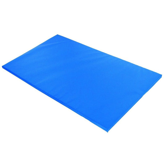 Colchoneta Deportiva 200x100x6 Cm - Tela Semi-lavable - Azul