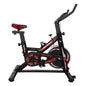 Spinning Bicicleta estatica PRO Z500