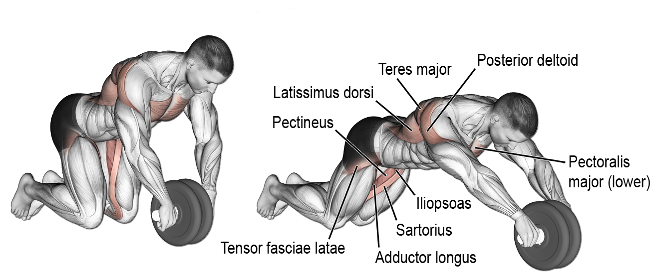 Rueda Abdominal -205