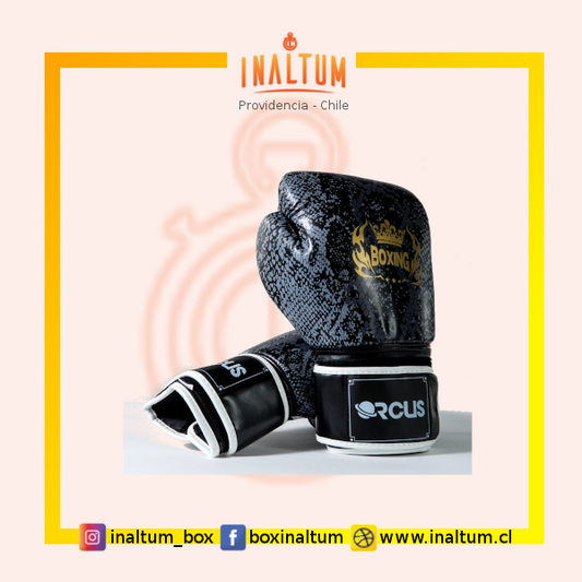 Guantes de Boxeo adulto - ORCUS