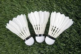 Set 3 Plumillas de Badminton de Pluma natural